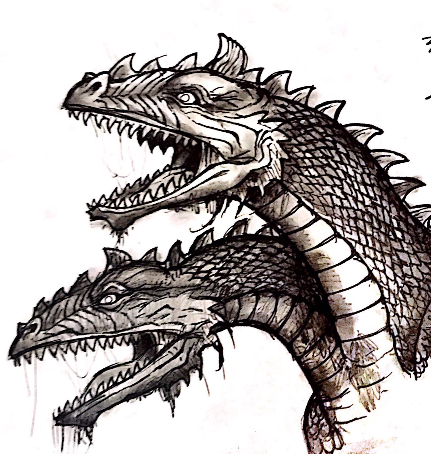 Two Headed Dragon | YoltonsArt